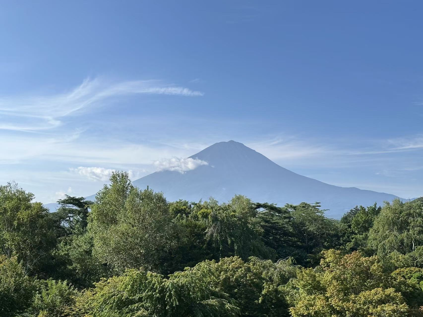 富士山(8点)